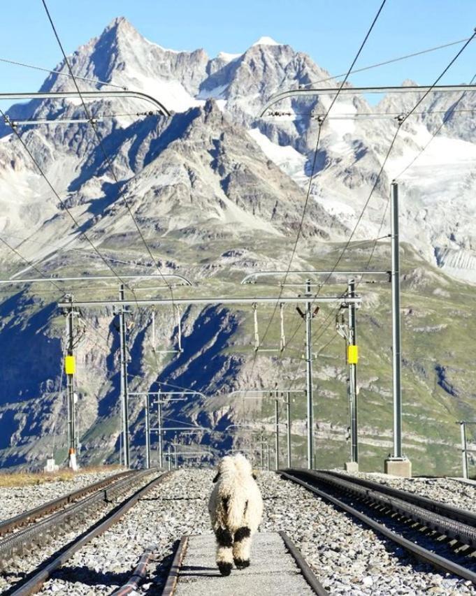 3100 Kulmhotel Gornergrat Zermatt Kültér fotó